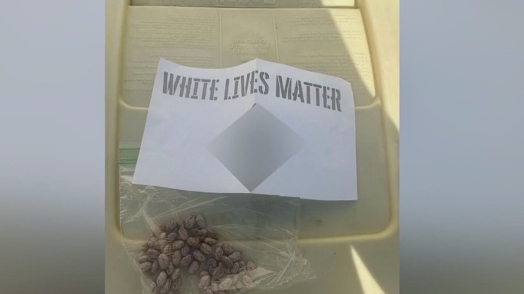 Man ticketed for antisemitic flyers: police
